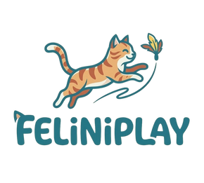 FeliniPlay