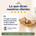 WoodNest™ – Rascador y cama natural para gatos