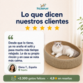 SoftNest™ – Cama rascador para gatos