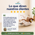 FlapHunt™ – Pájaro automático para gatos